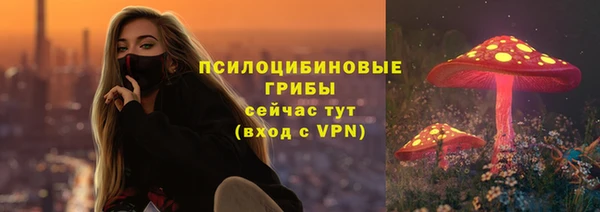 эйфоретик Елизово