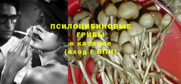 эйфоретик Елизово