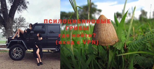 эйфоретик Елизово