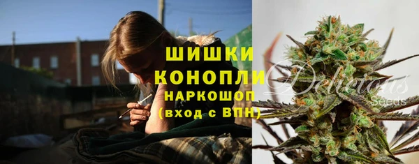 эйфоретик Елизово