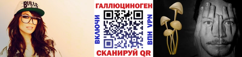 Псилоцибиновые грибы мицелий  Купить закладки  Чудово 